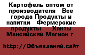 Картофель оптом от производителя - Все города Продукты и напитки » Фермерские продукты   . Ханты-Мансийский,Мегион г.